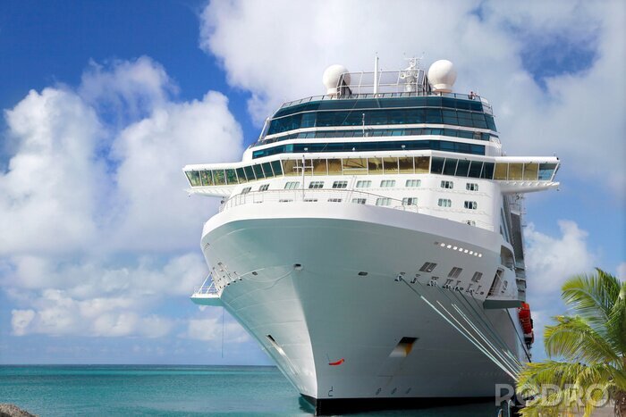 Fotobehang Luxury Cruise Ship in Port
