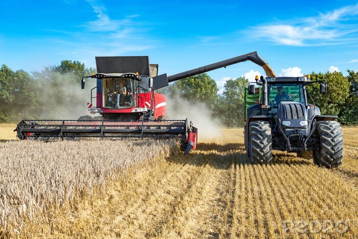 Fotobehang Maaidorser en tractor met aanhangwagen voor graan oogsten - 6689