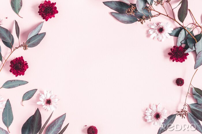 Fotobehang Madeliefjes en bladeren op een roze achtergrond