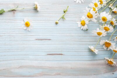 Fotobehang Madeliefjes op planken