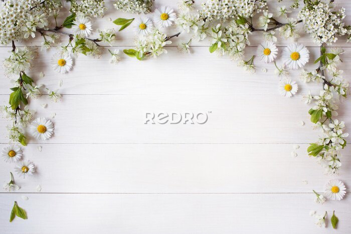 Fotobehang Madeliefjes op witte borden