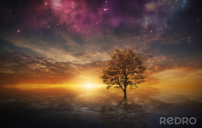Fotobehang Magische boom in 3D