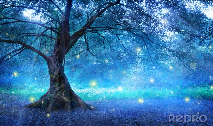 Fotobehang Magische boom in een bos