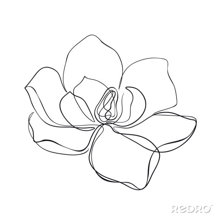 Fotobehang Magnolia geïsoleerde handmatige schets