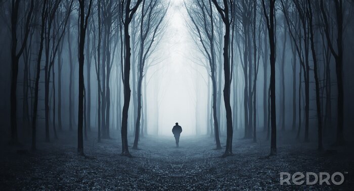 Fotobehang man in een donker bos