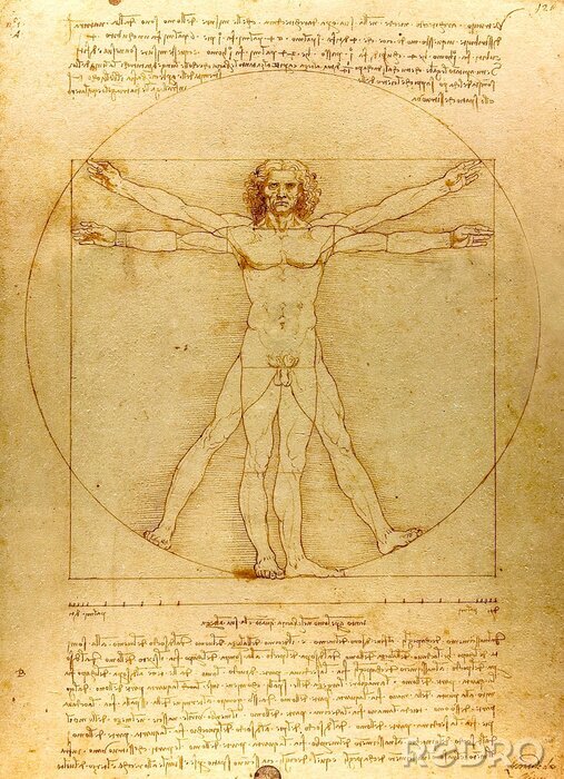 Fotobehang Man van Vitruvius. Tekening van Leonardo da Vinci