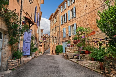 Fotobehang Mane, Forcalquier, Provence, France: picturesque ancient alley in the old town with plants and flowers