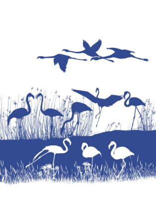 Fotobehang Marineblauw en witte vogels