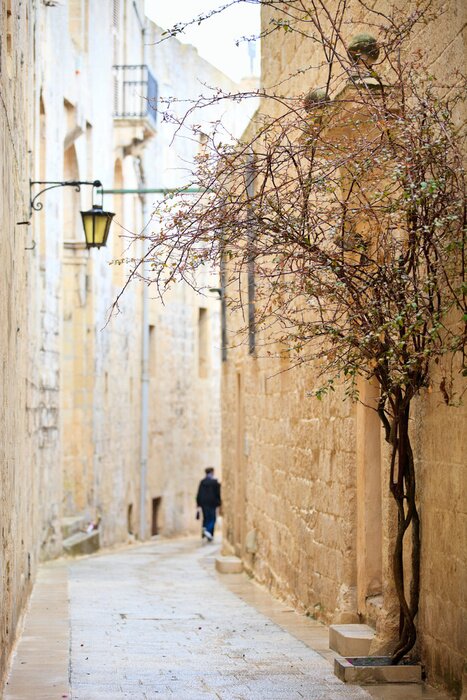 Fotobehang Mdina straat
