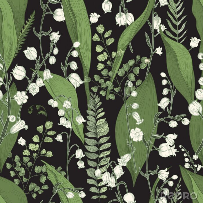 Fotobehang Mei lelietje-van-dalen