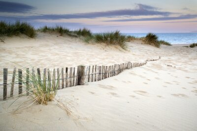 Fotobehang Met gras begroeide duinen aan zee
