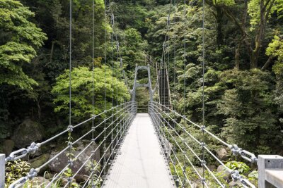 Fotobehang Metalen hangbrug in een dicht bos