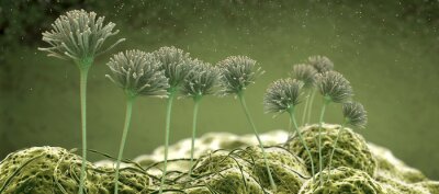 Fotobehang Microscopisch beeld in 3D-concept