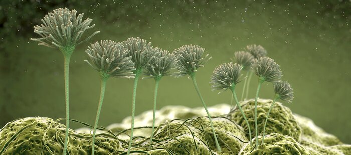 Fotobehang Microscopisch beeld in 3D-concept