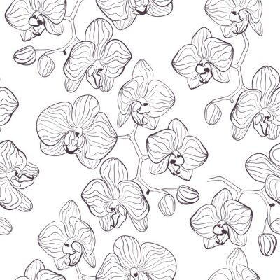 Fotobehang Minimalistisch ontwerp van orchidee