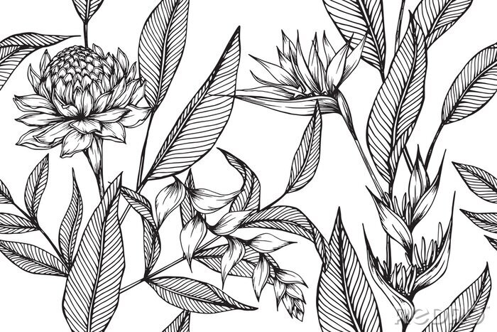 Fotobehang Minimalistisch patroon met exotische planten