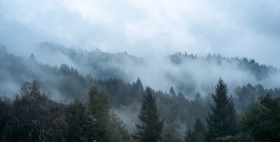 Fotobehang Mist tussen de bomen en heuvels