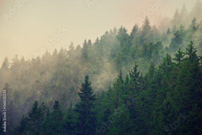 Fotobehang Mistig berglandschap