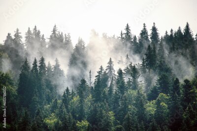 Fotobehang Mistig berglandschap tegen een heldere lucht