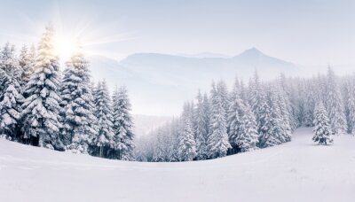 Fotobehang Mistig winterlandschap in de bergen
