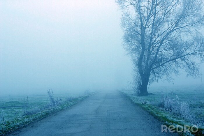 Fotobehang mistige ochtend