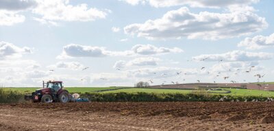 Fotobehang Modbury, South Devon, England, UK. May 2019. A tractor ploughing deep furrows preparing a field for planting potatoes near Modbury, Devon, The background high ground is Dartmoor National Park.