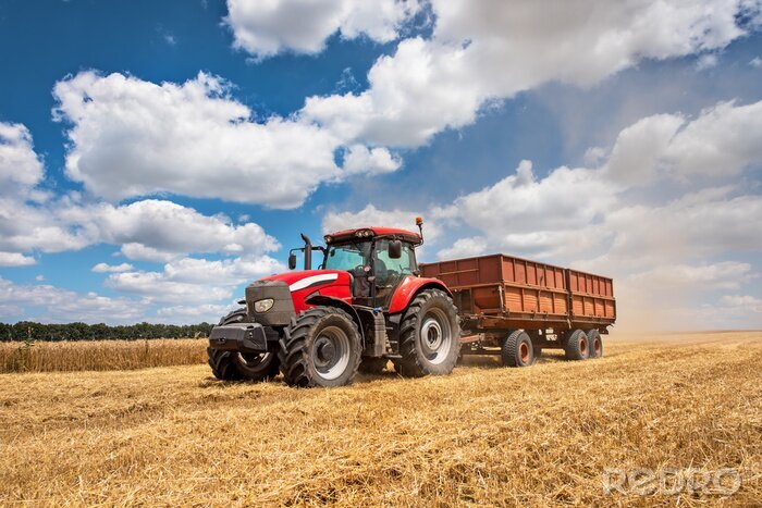Fotobehang Moderne rode tractor op het landbouwgebied op zonnige zomerdag