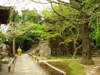 monnik in tempel tuin