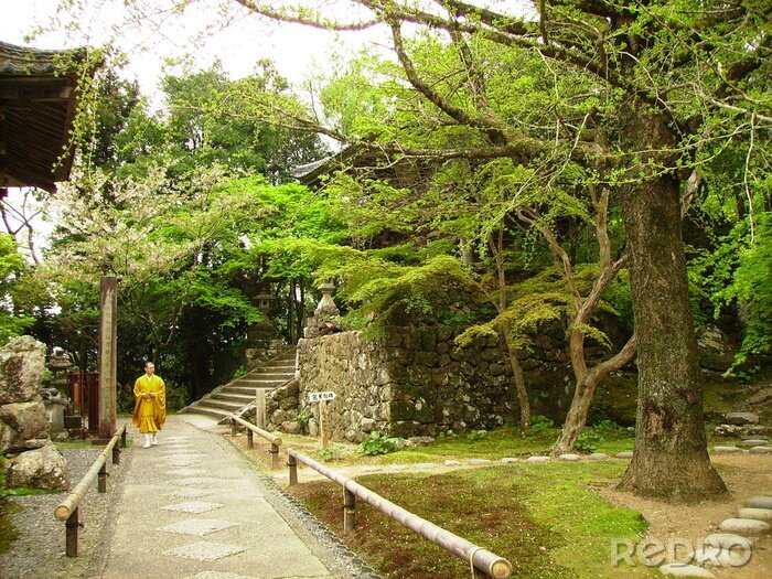 Fotobehang monnik in tempel tuin