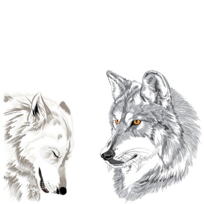Fotobehang Monochromatische illustratie van wolven