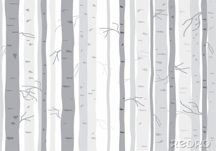 Fotobehang Monochrome berken