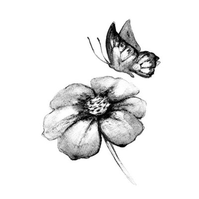 Fotobehang Monochrome illustratie van een vlinder en een bloem