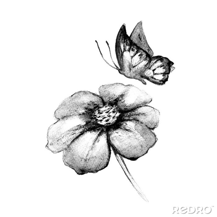 Fotobehang Monochrome illustratie van een vlinder en een bloem