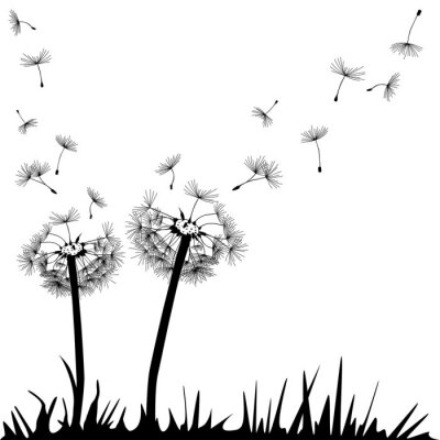 Fotobehang Monochrome paardenbloemen op gras