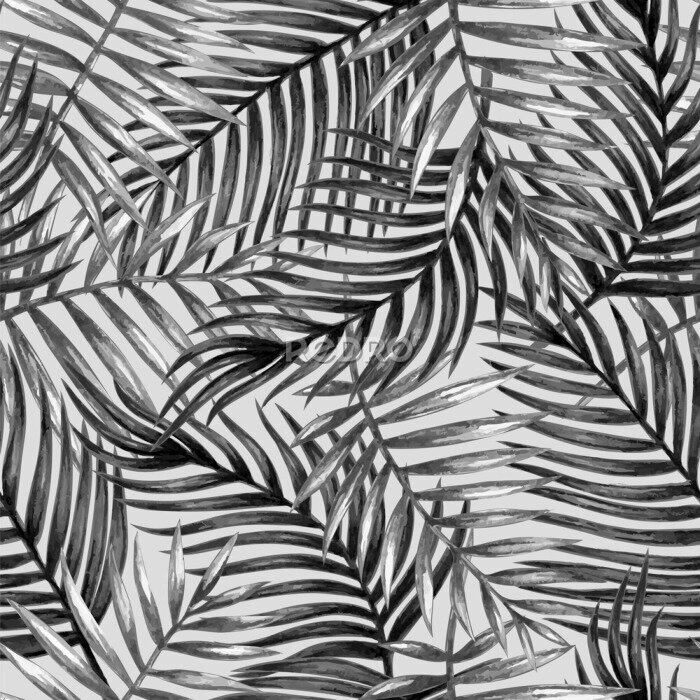 Fotobehang Monochrome palmbladeren geschilderd in aquarel