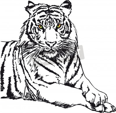 Fotobehang Monochrome schets van een tijger
