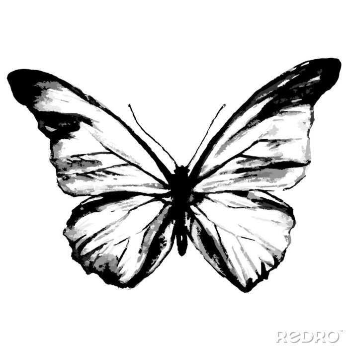 Fotobehang Monochrome transparante vlinder