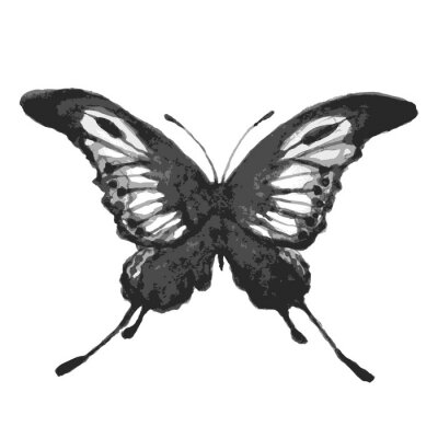 Fotobehang Monochrome vlinder op lichte achtergrond