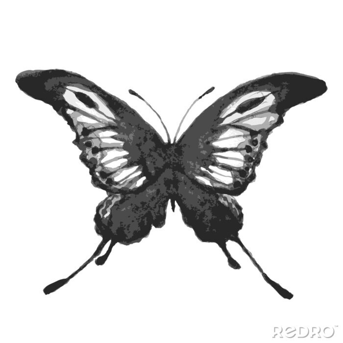 Fotobehang Monochrome vlinder op lichte achtergrond