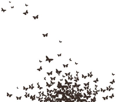 Fotobehang Monochrome vlinders in beweging