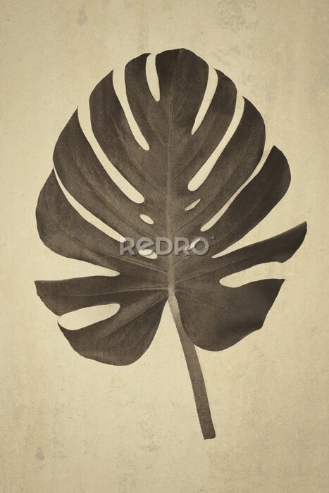 Fotobehang Monstera in sepia