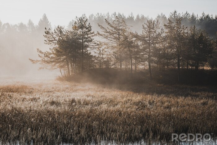 Fotobehang Moody Filtered Image of Misty Morning at Lake in Autumn