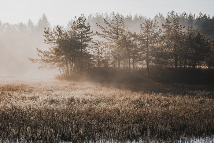 Fotobehang Moody Filtered Image of Misty Morning at Lake in Autumn