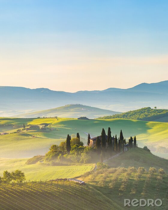 Fotobehang Mooi mistig landschap in Toscane, Italië