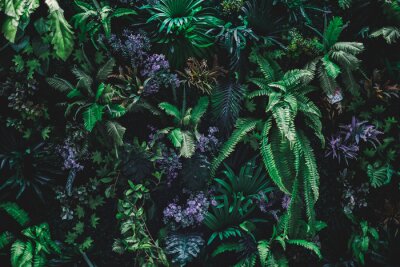 Fotobehang Mooie aardachtergrond