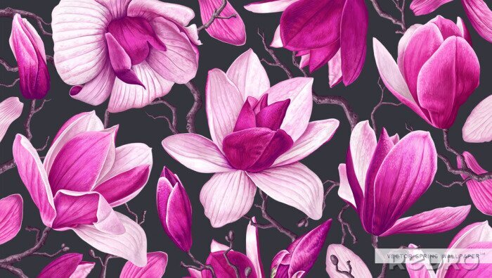 Fotobehang Mooie roze magnolia's