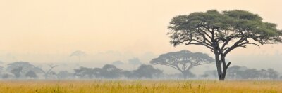 Fotobehang Mooie scène van Serengeti National park