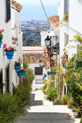 Fotobehang Mooie straat met bloemen. Mijas, Spanje