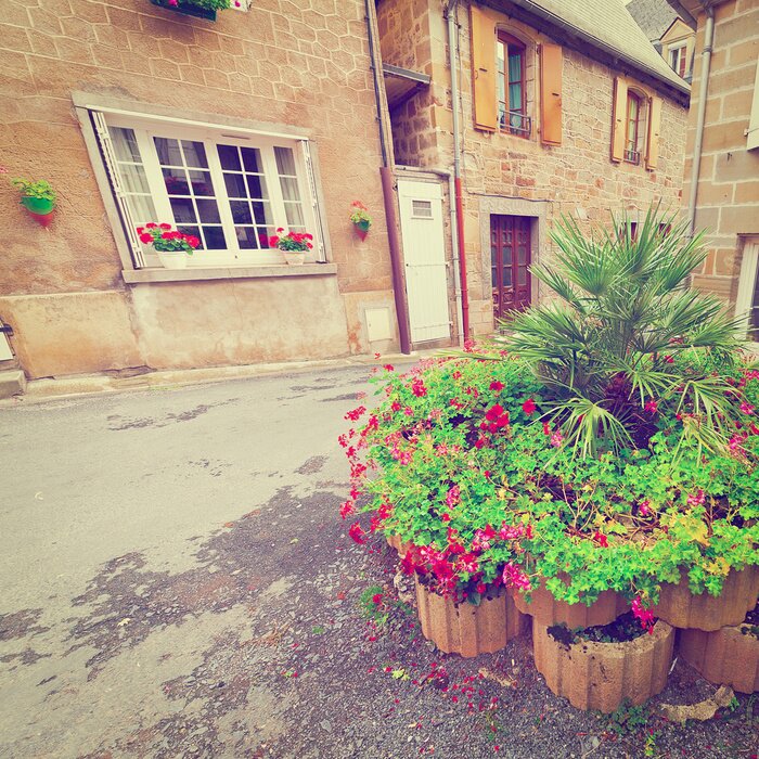 Fotobehang Mooie tuin voor het huis