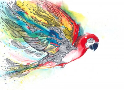 Fotobehang Mooie vogel geschilderd in aquarel
